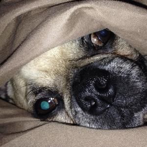 Meet your Posher, Shelli